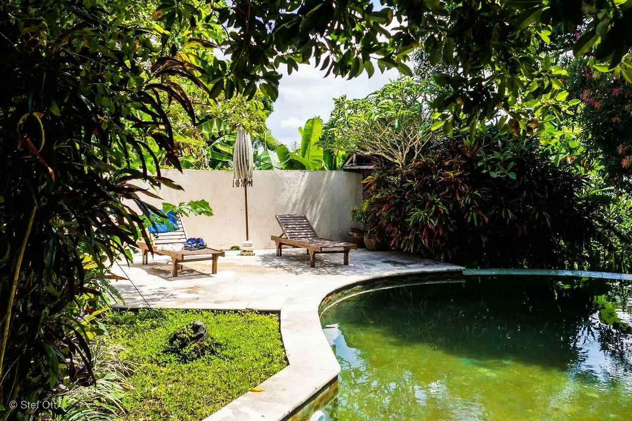 Rumah Cecak Penestanan Village Ubud  Holiday home