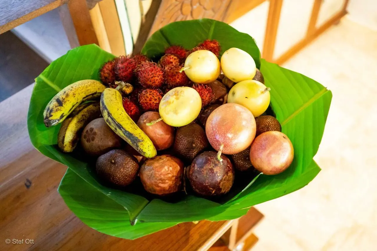Prázdninový dům Rumah Cecak Penestanan Village Ubud